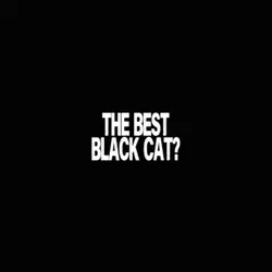Cartoon cat edit