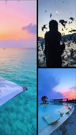 Travel record