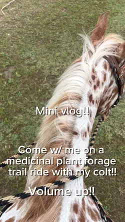 Mini vlog!!<3