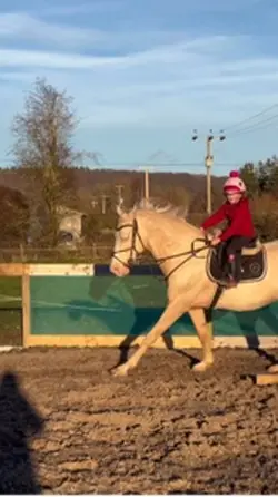 Jumps higher than me
