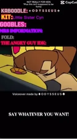 VOICE OVERRRR