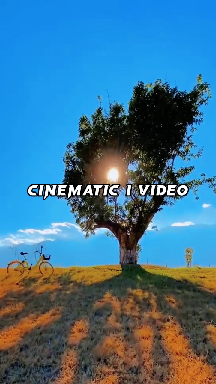 Video Transisi 1