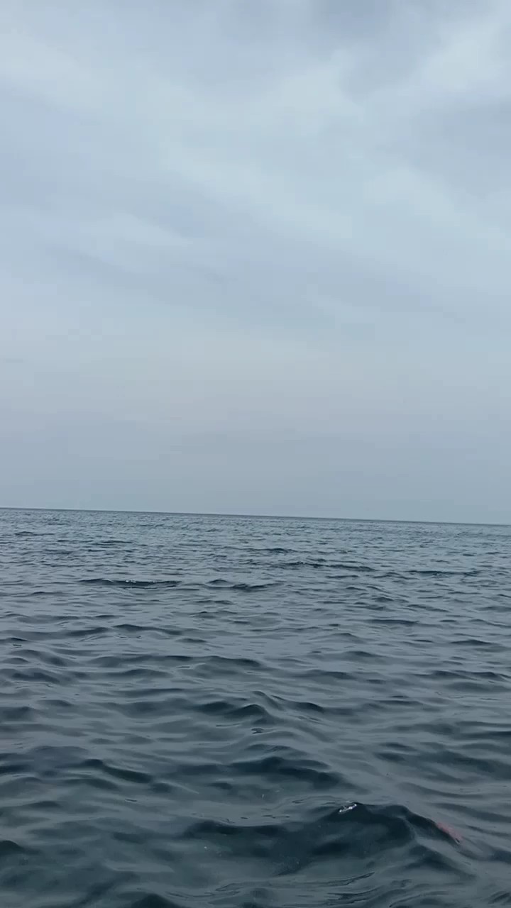 바다
