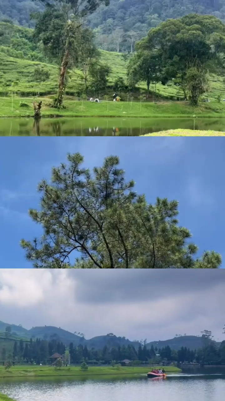 frame 3 video