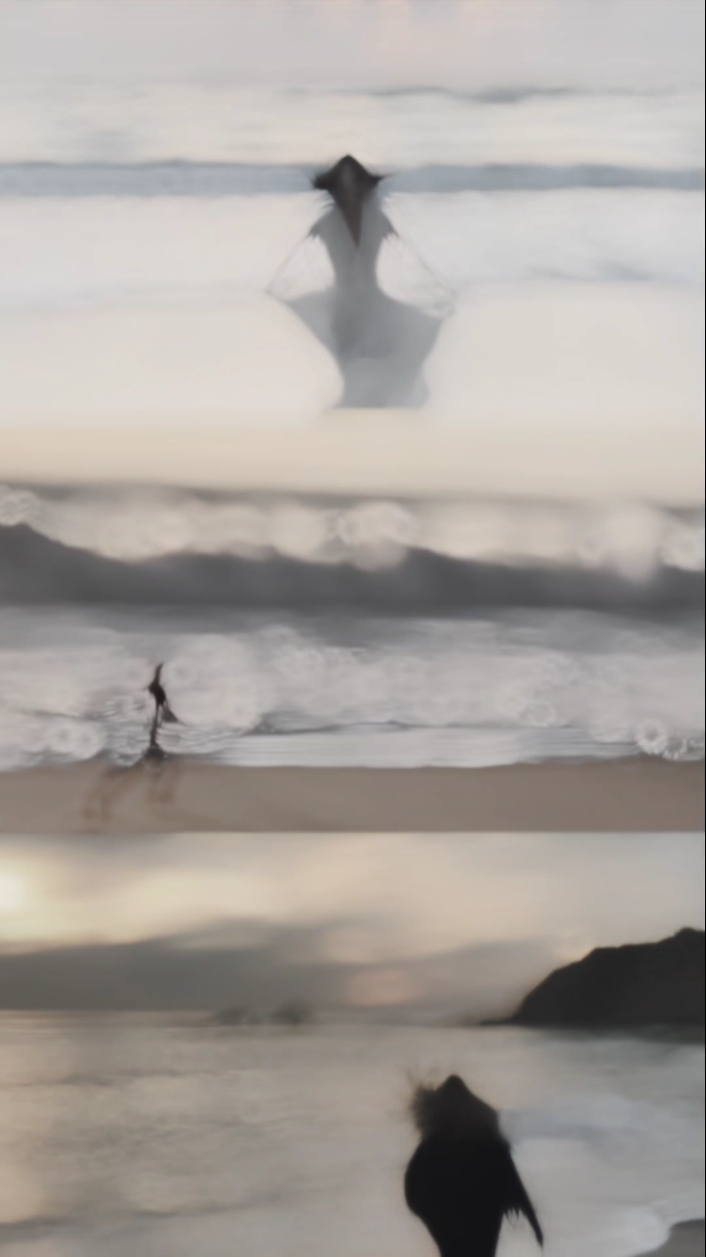 SLOWMO 3 VIDIO