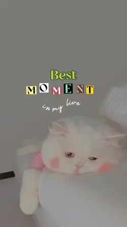 26 foto 