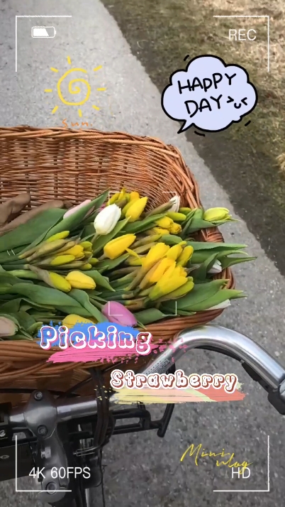 Memetik Stroberi