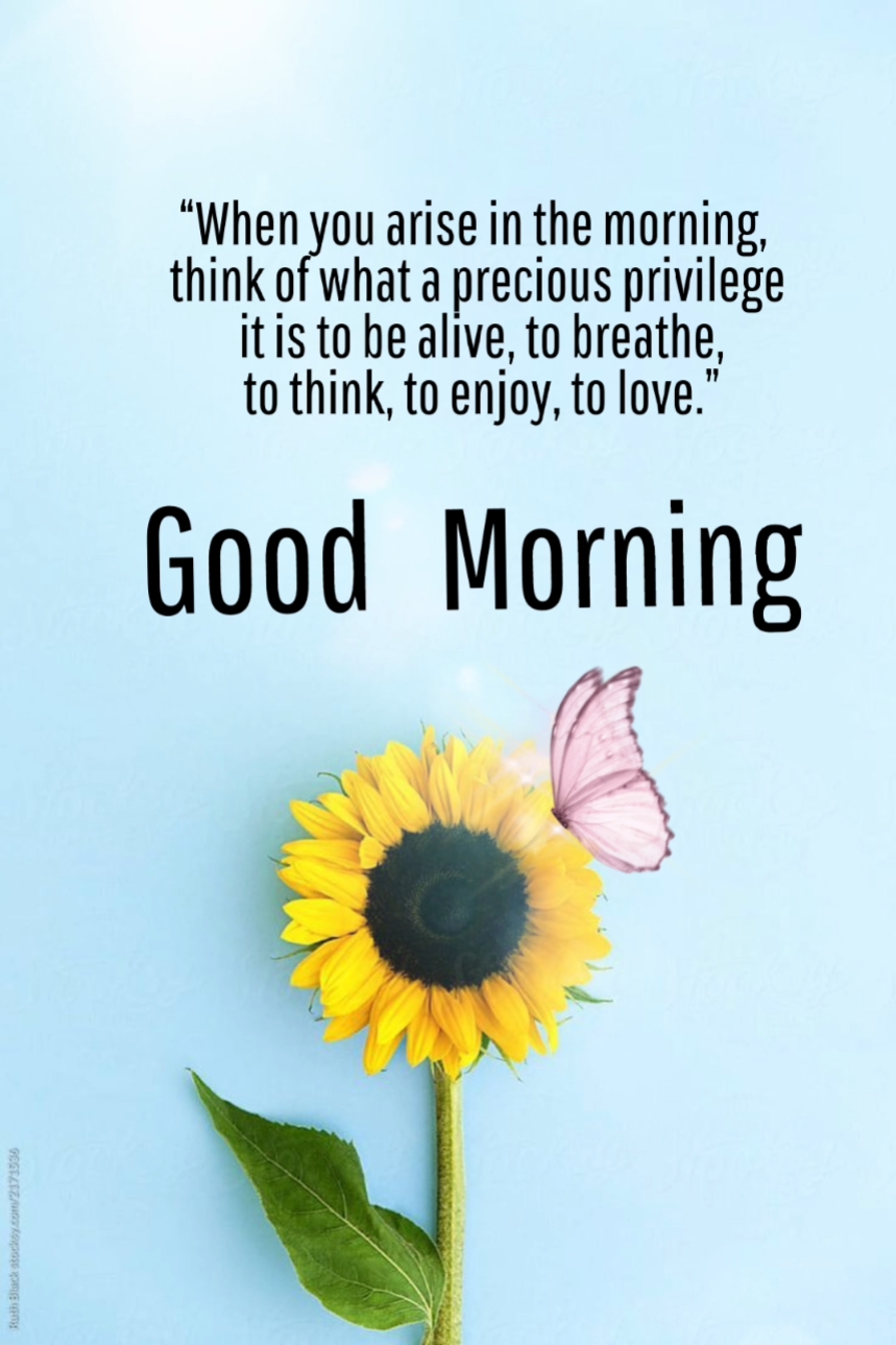 Bom Dia