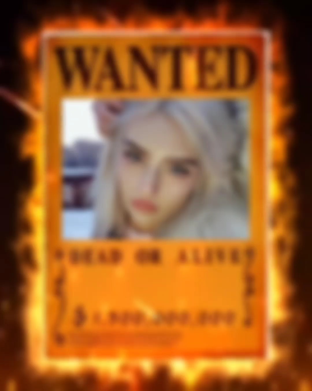 SE BUSCA