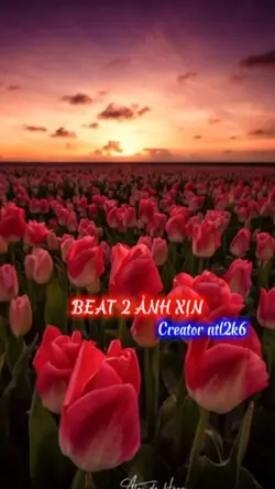 Beat 2 ảnh xịn