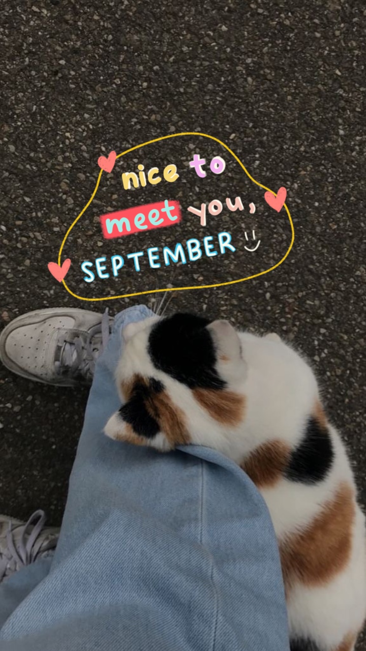 Volcado de septiembre ~