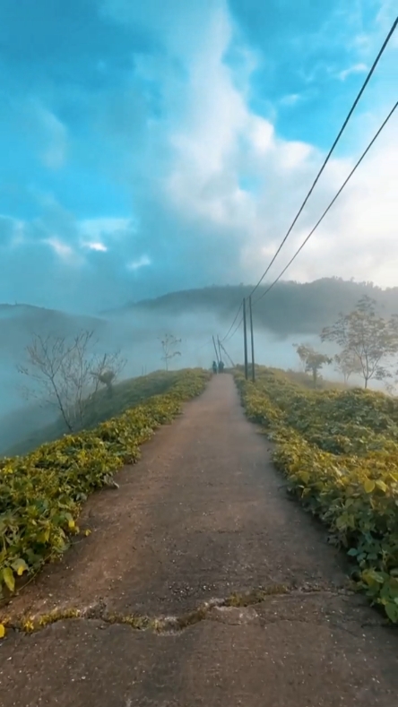 Walking healing 