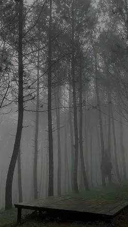 2 video 6 foto 