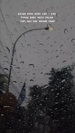 Story WA