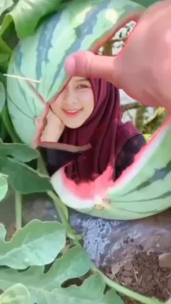 SEMANGKA AJAIB 