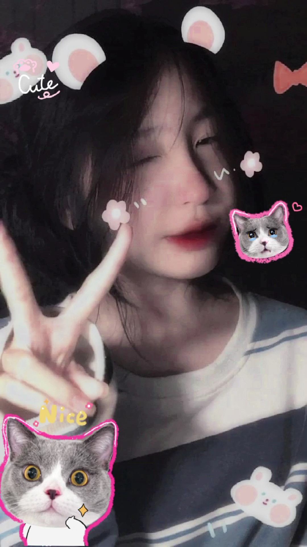 1 ảnh + filter kucing