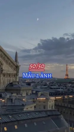 50/50