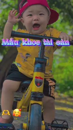 Tài sản của tôi