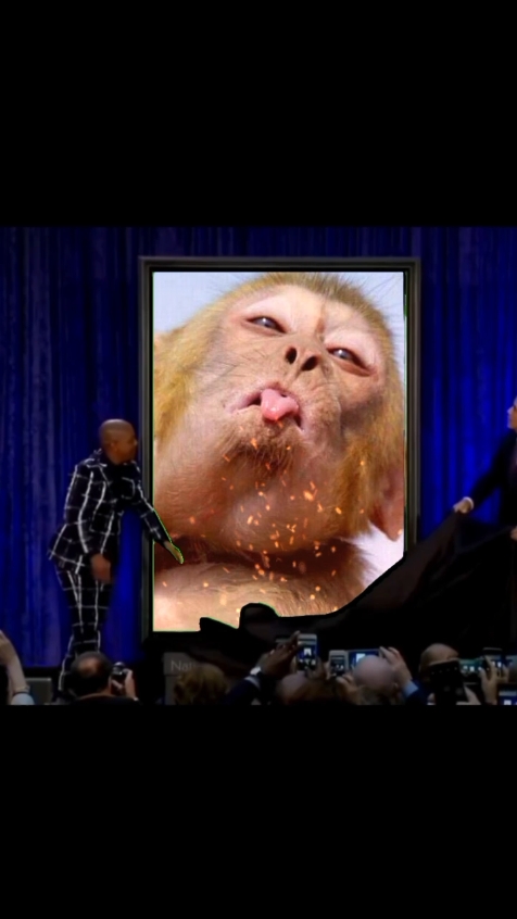 monkey 