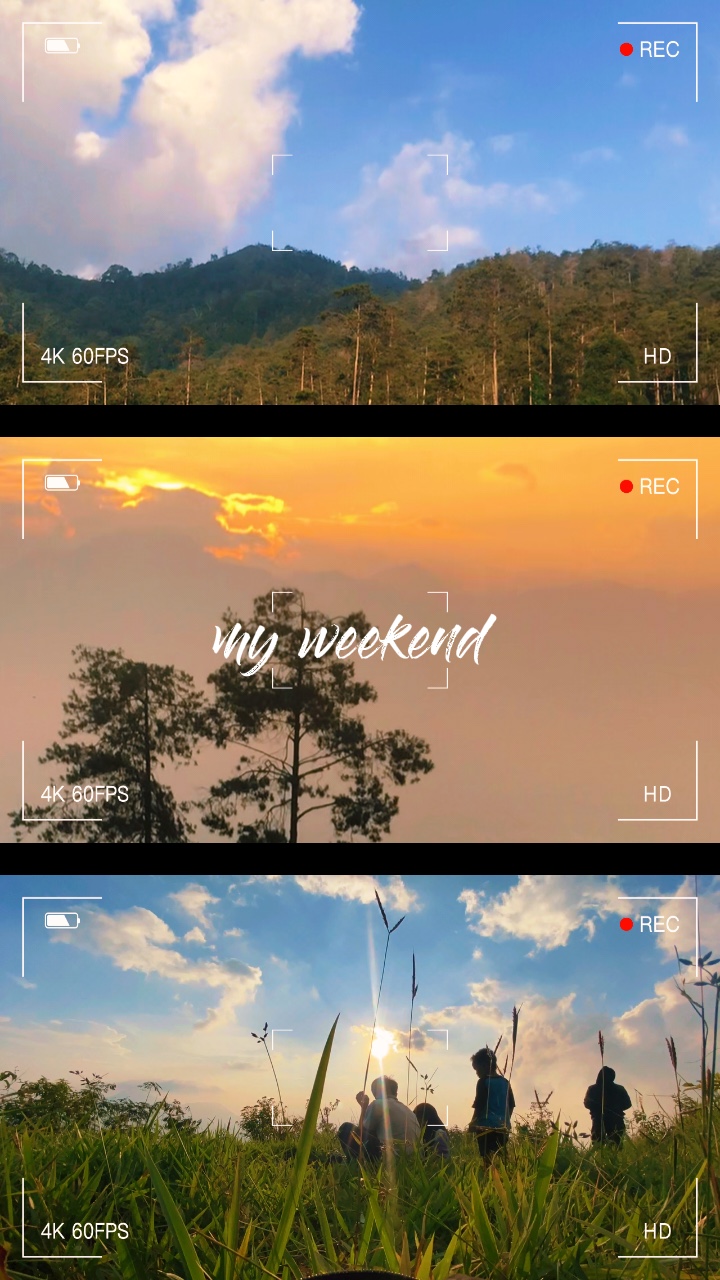 Transisi umbrella 