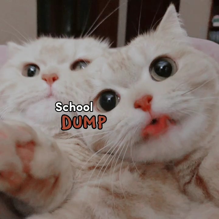 Despejo escolar