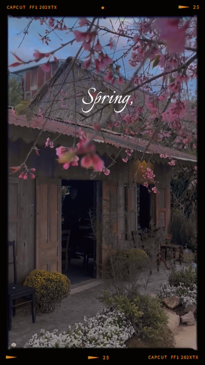 Printemps. 1 vidéo