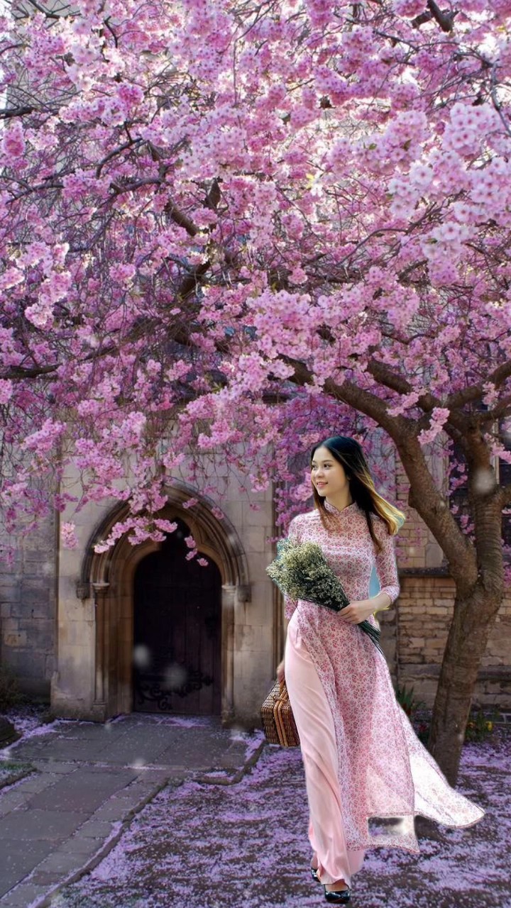 Sakura Bunga
