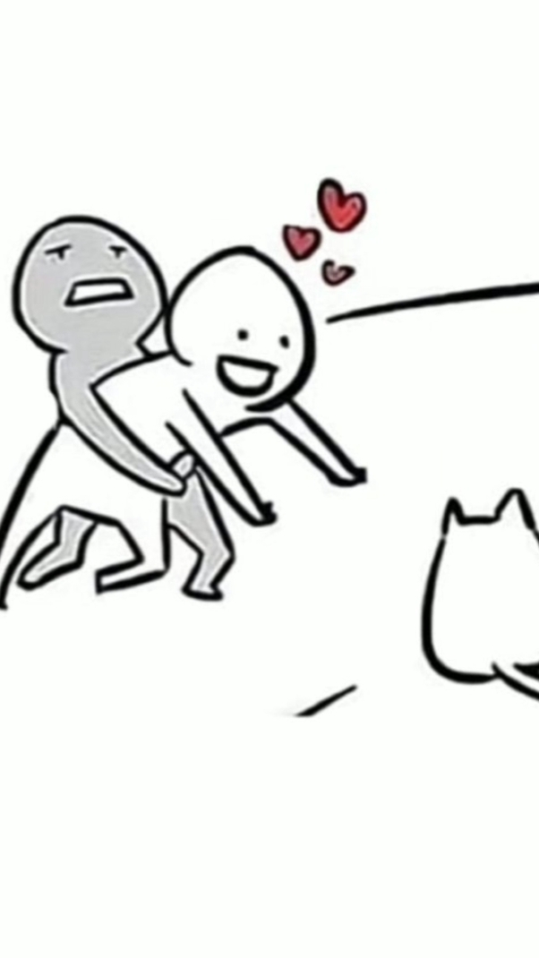 Cat Lover