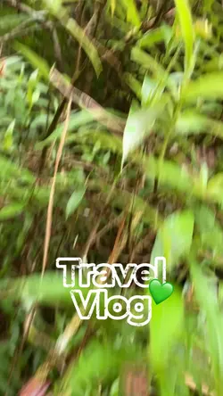 Dahilayan