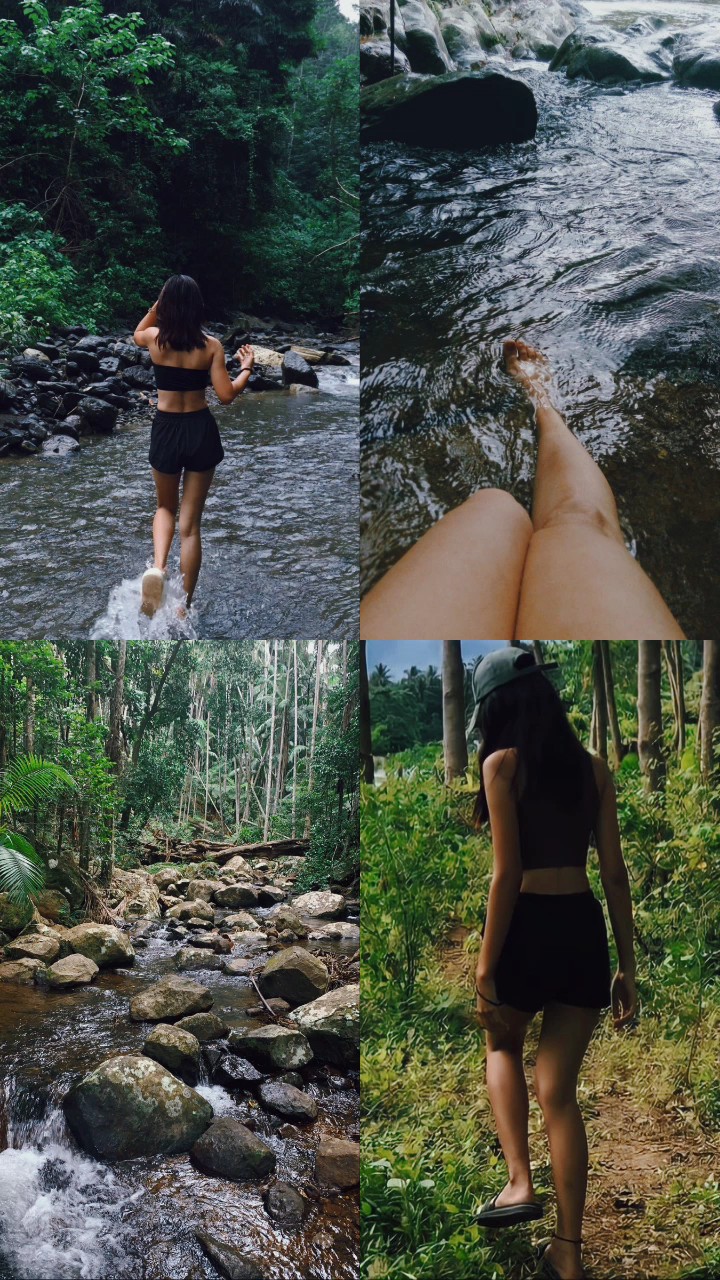 nature 