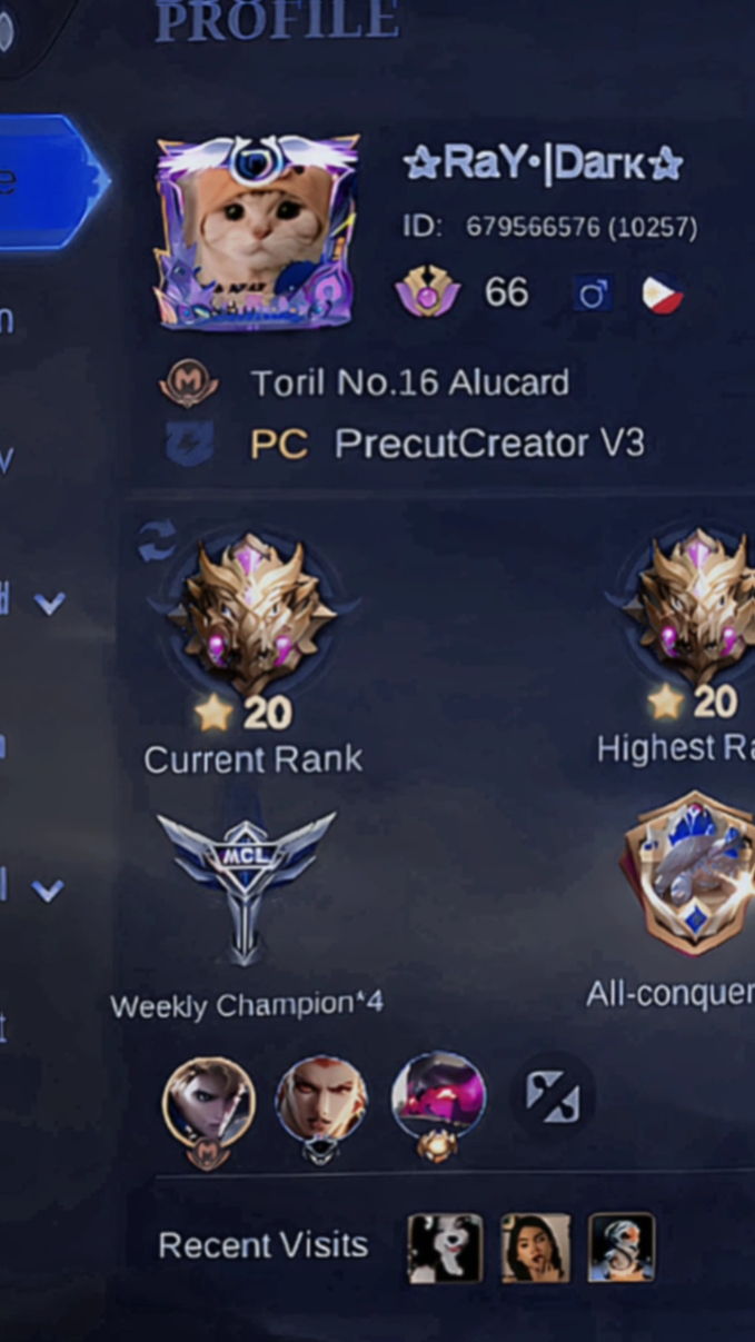 Profil MLBB 