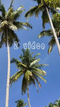 2 video