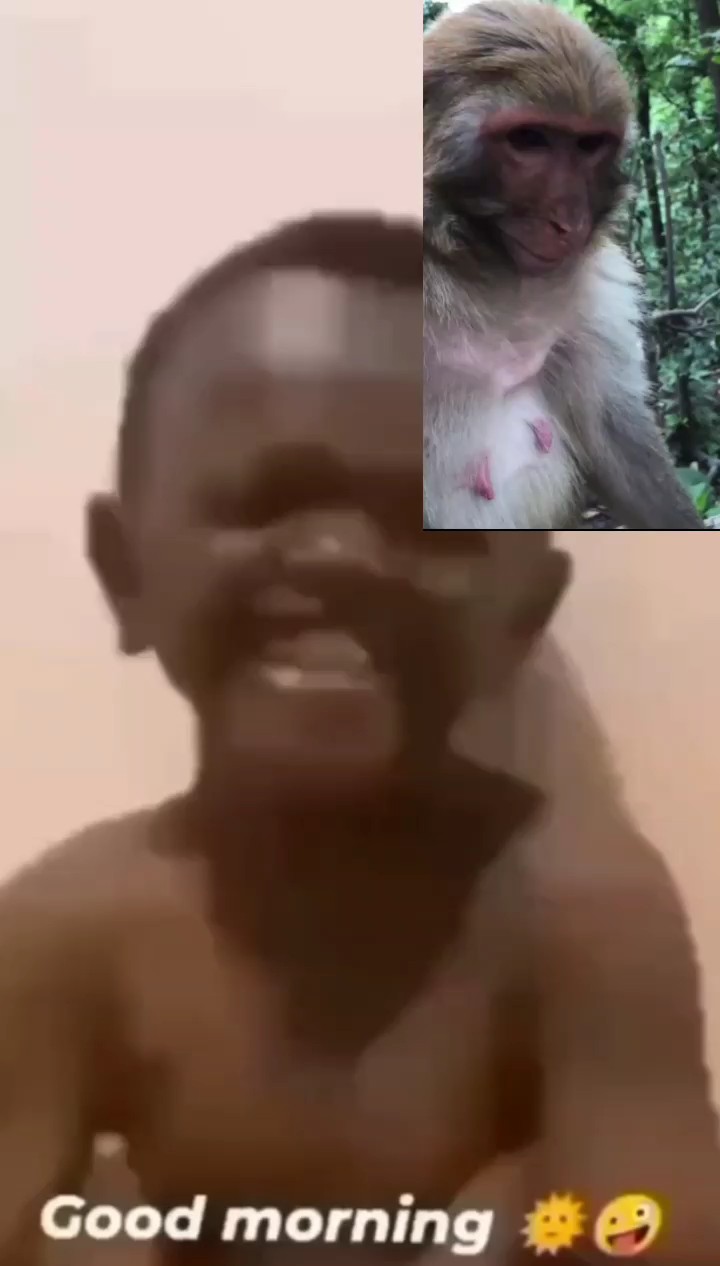 Mono