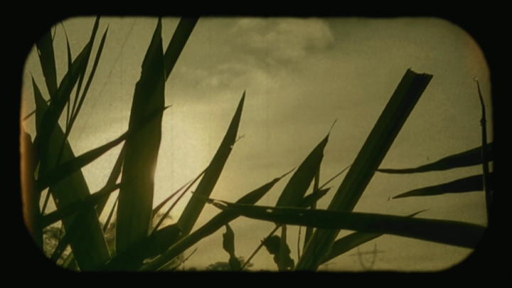 frame film 