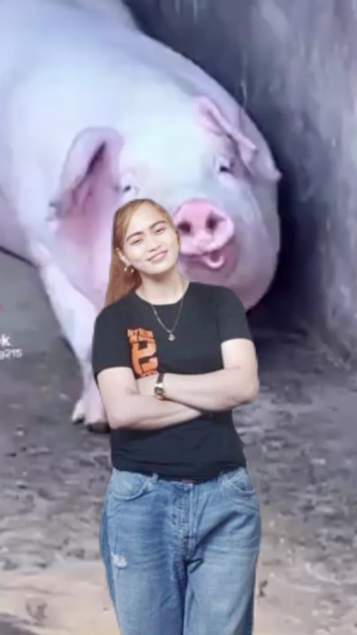 pig hungry