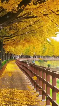 Ngẫm Chuyện Đời
