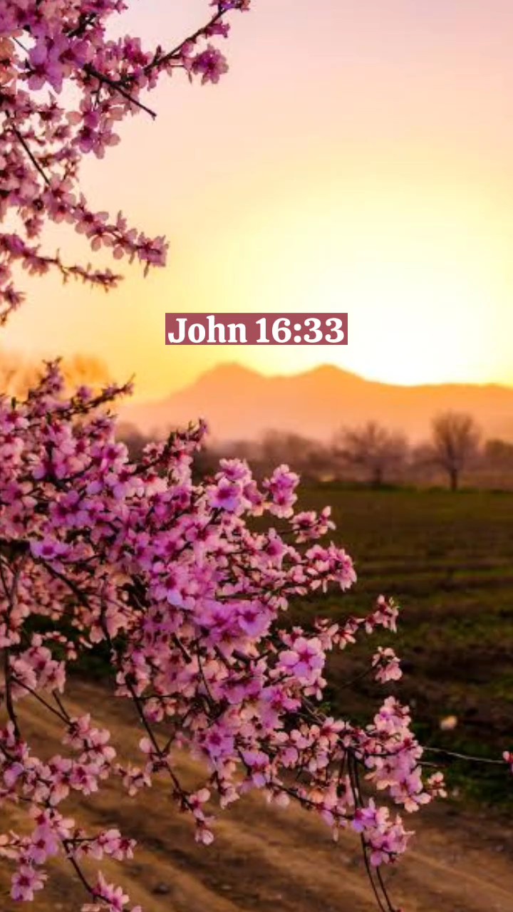 Bible Verse 