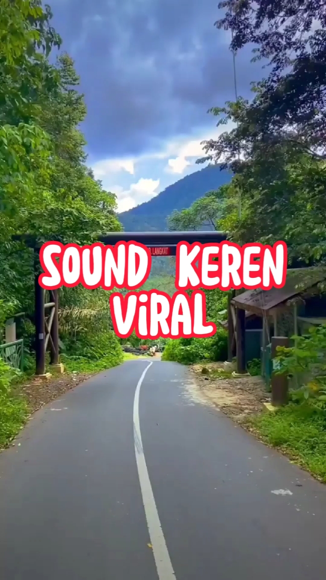 viral tiktok 