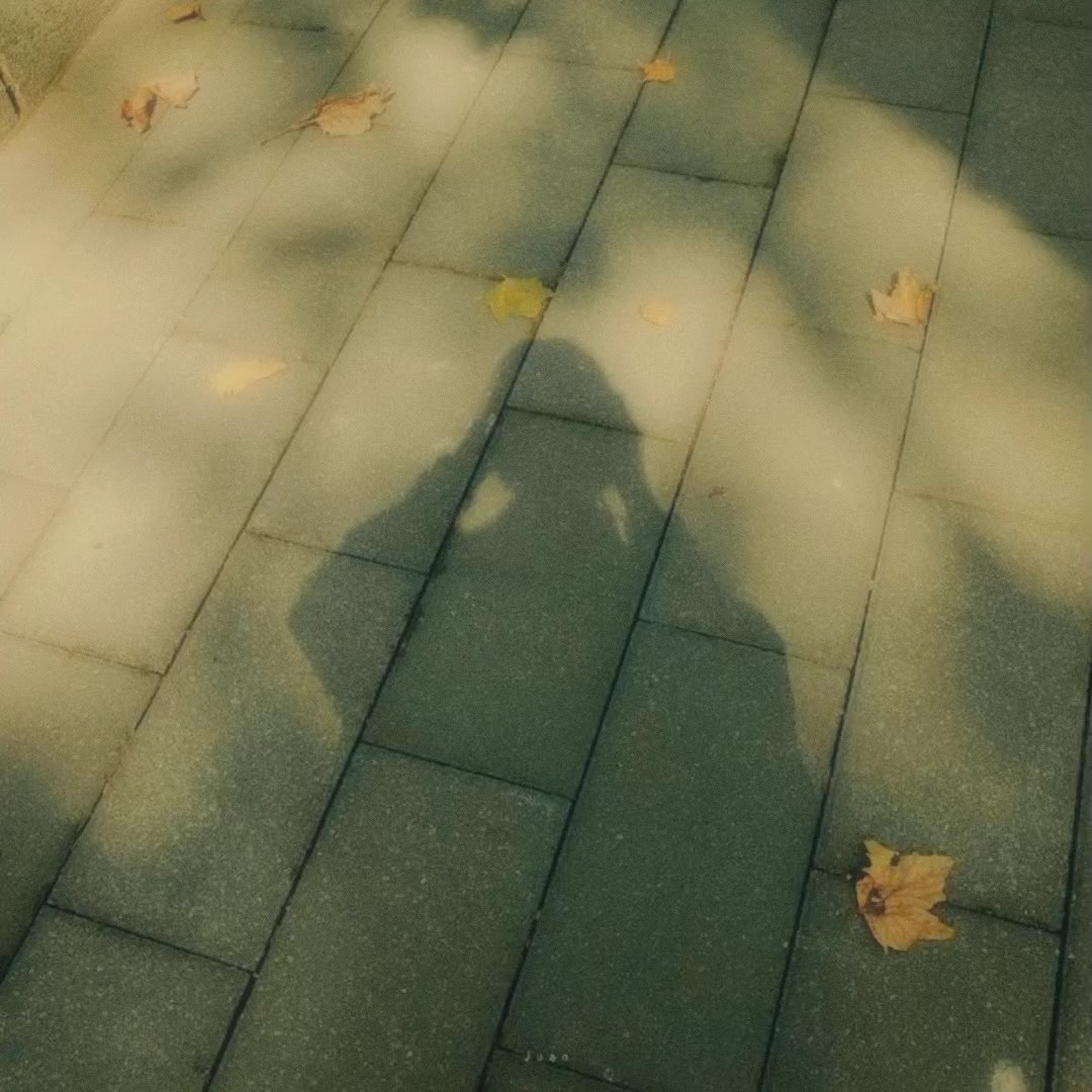 Traum-Weichfilter