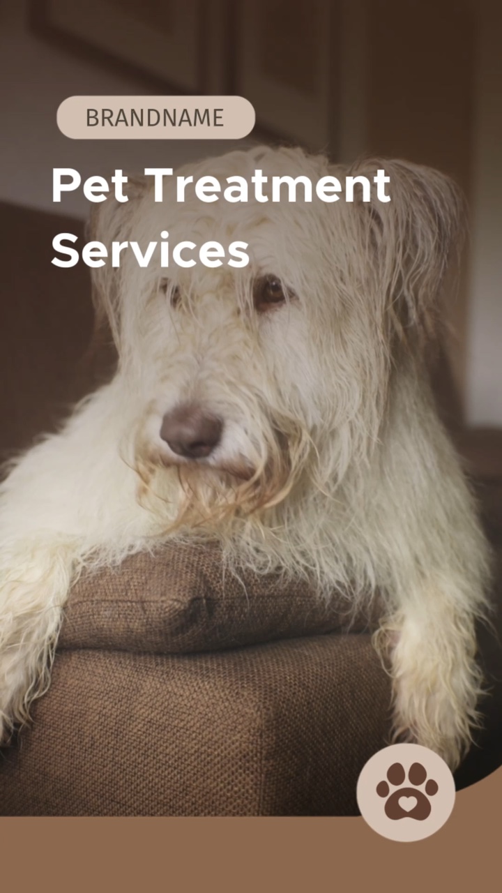 Minimalist Brown Style Pet Care Service Branding Display