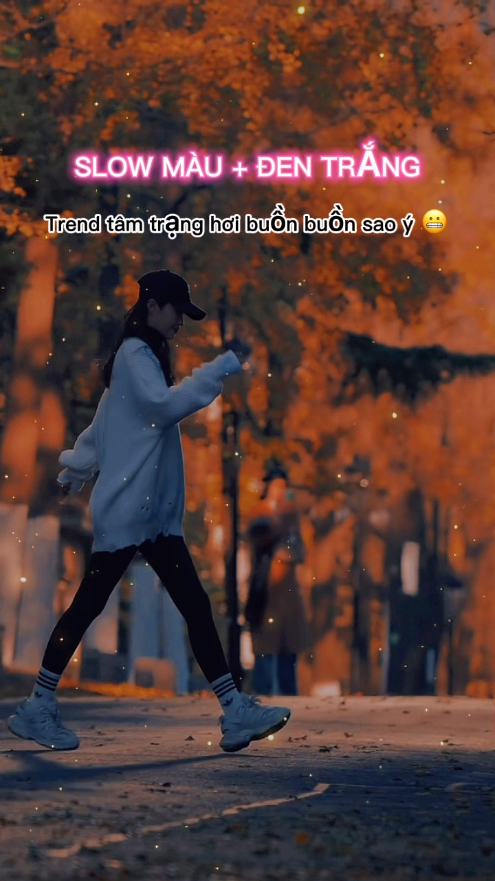 MÁU LENTO + Đ.TRNG
