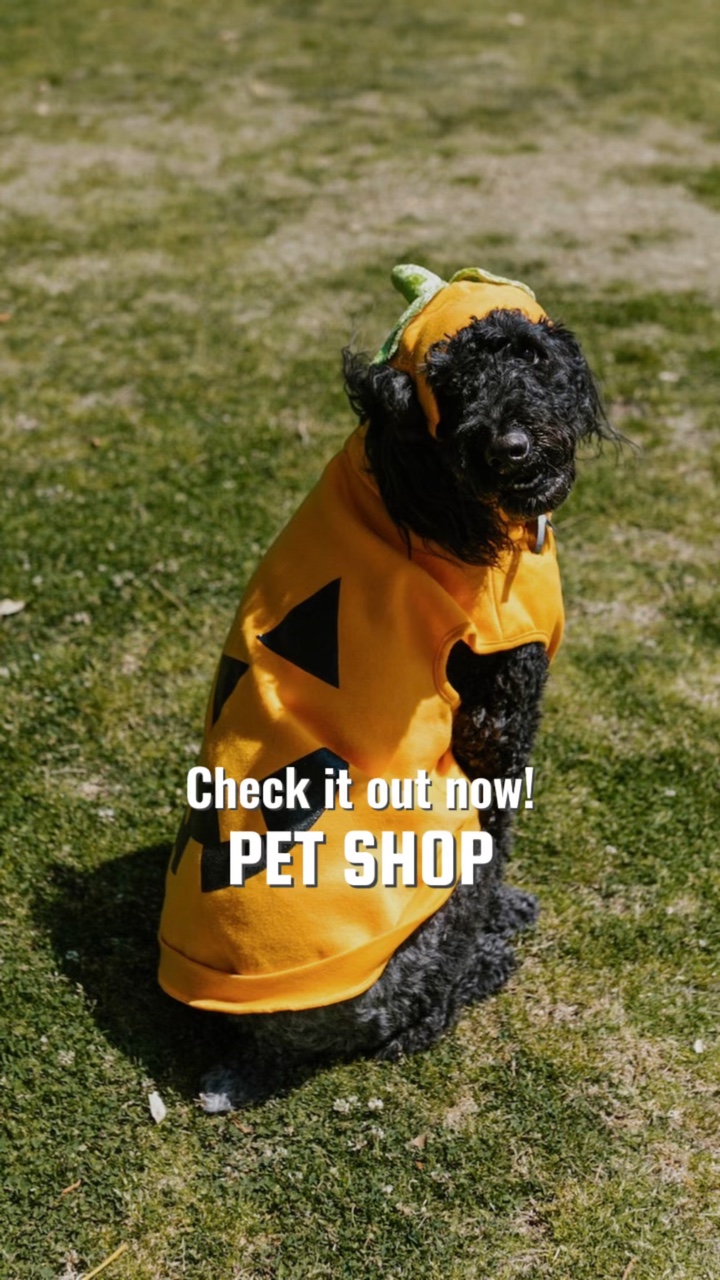 Pet Clothing