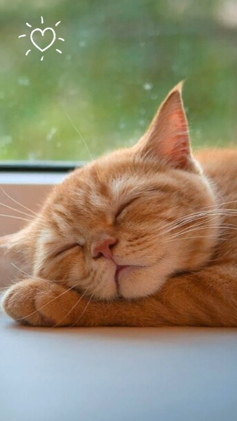 cute 
