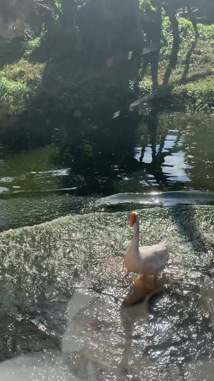 Zoo-Vlog