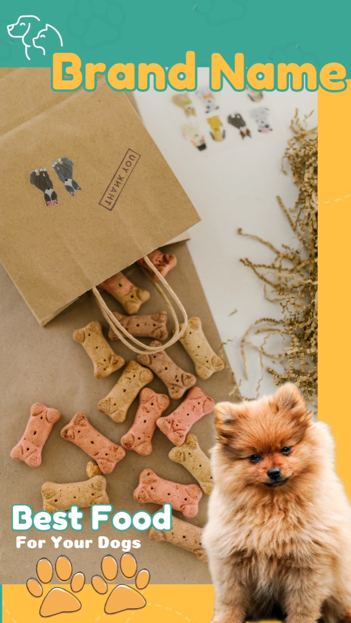 Show de comida para animais de estimação