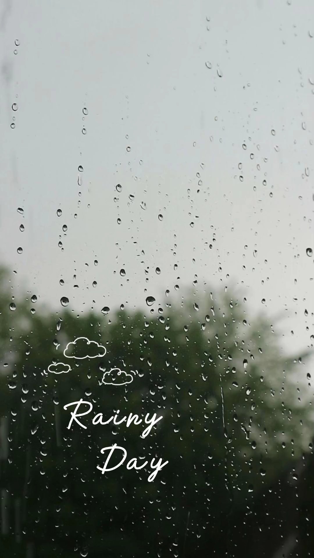 Rainy Day 