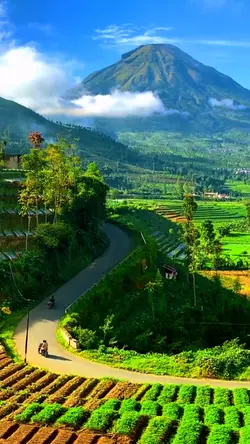 mentahan video