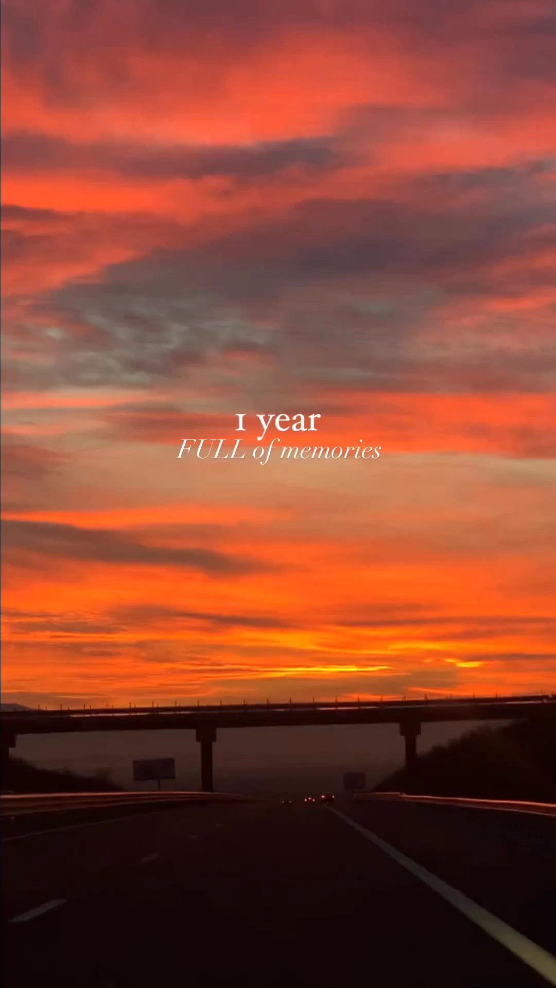 1 year dumb 