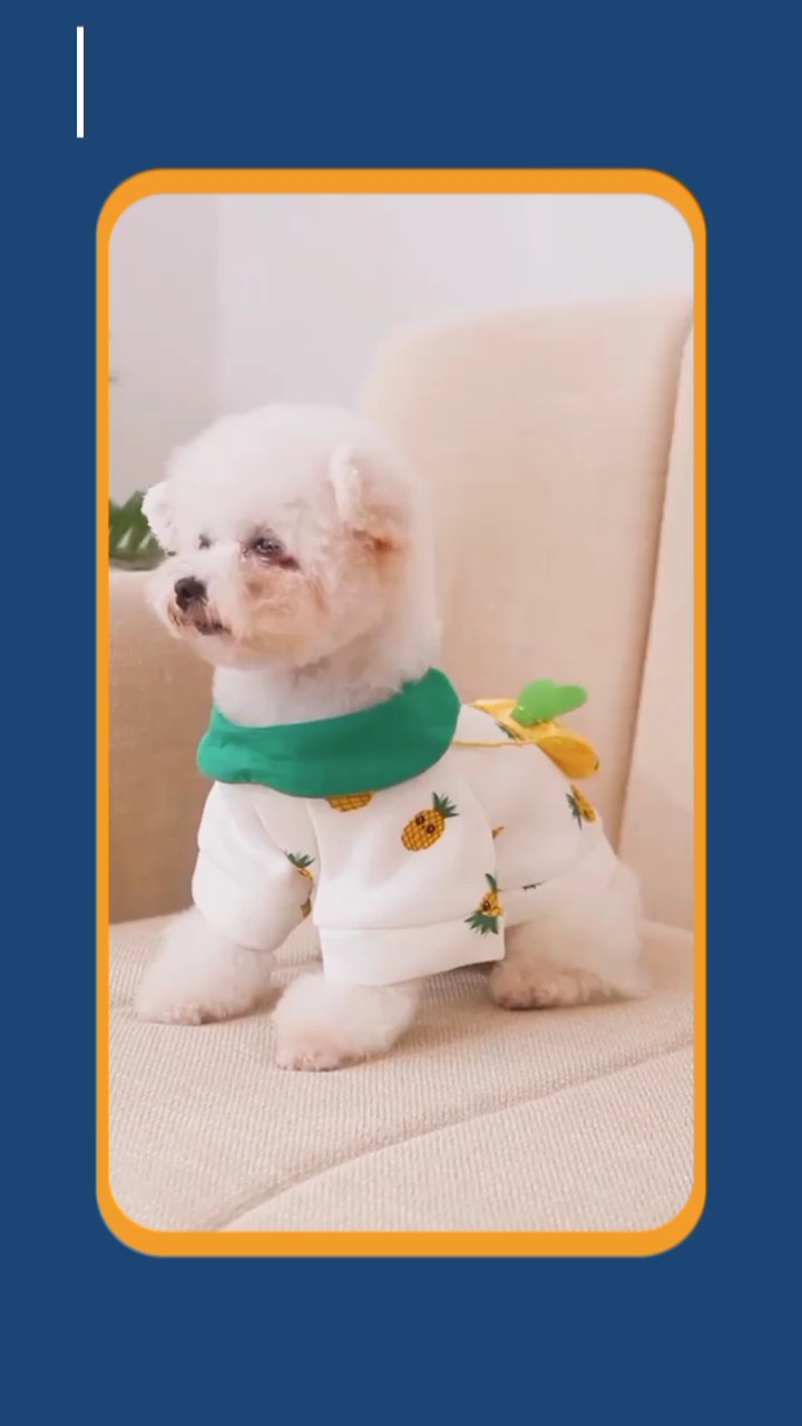 Roupas De Animais De Estimação
