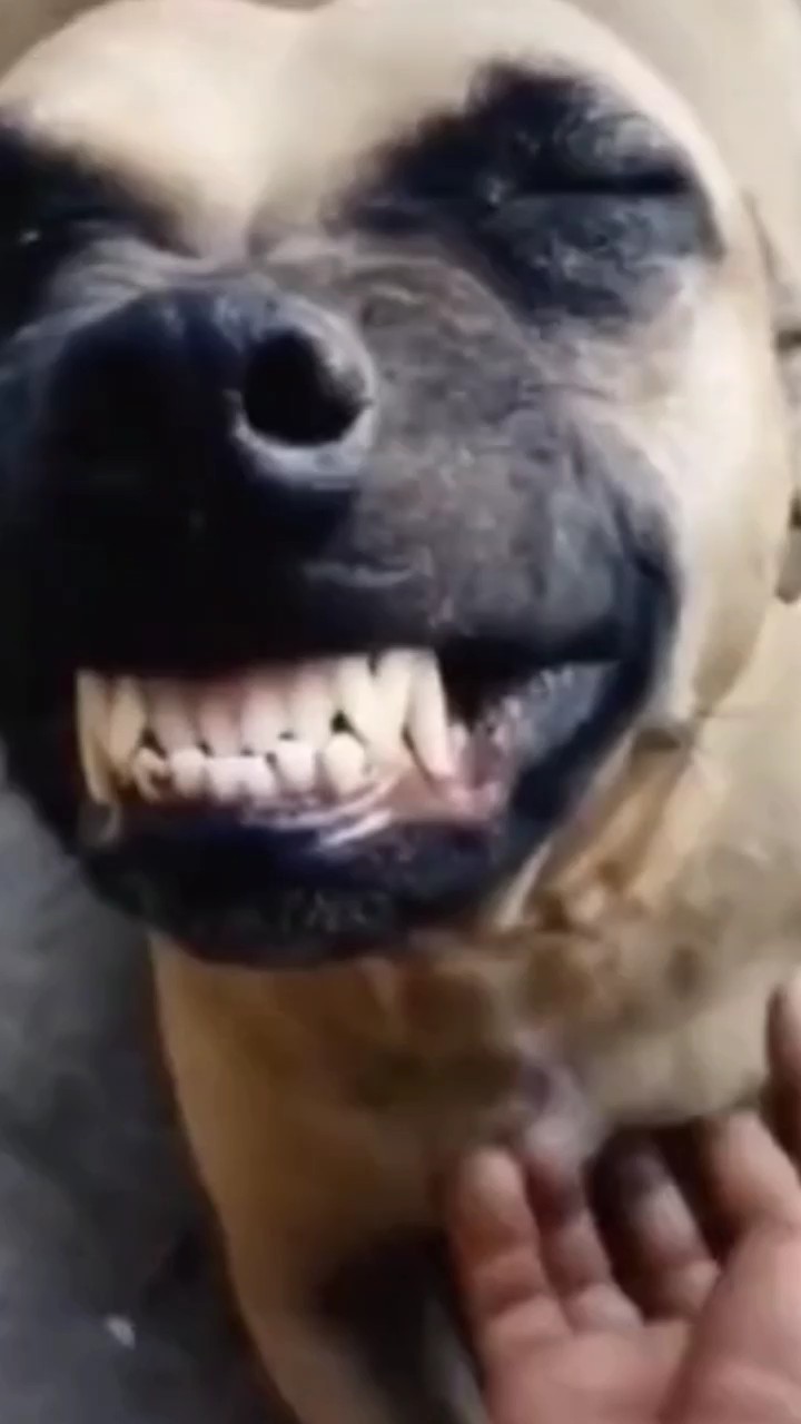 Bebê rindo